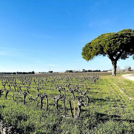 Les Appartements Du Mas - Emeraude Aigues-Mortes Kültér fotó